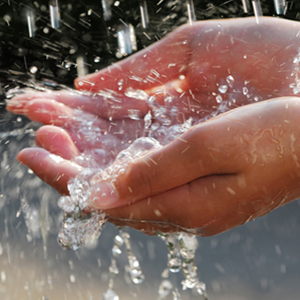 Rainwater Harvesting & Water Conservation
